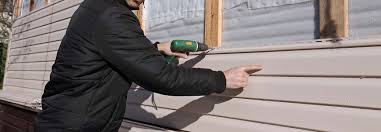 Best Vinyl Siding Installation  in Pahoa, HI